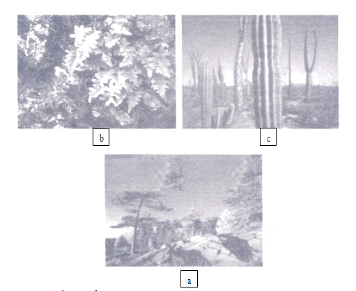 Giải Vở bài tập Tự nhiên và xã hội 2 bài 24 Câu 1