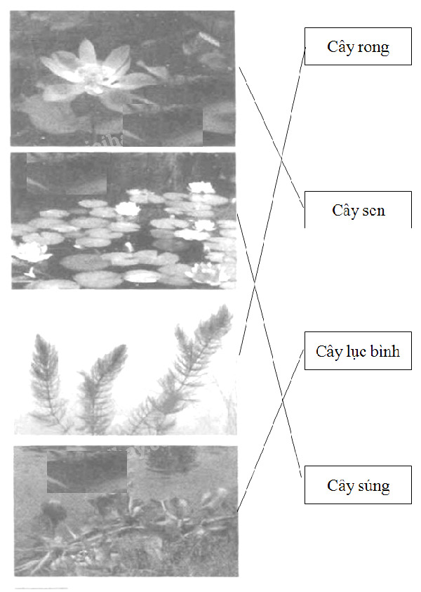 Giải Vở bài tập Tự nhiên và xã hội 2 bài 26