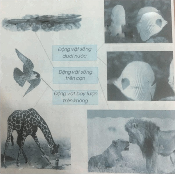 Giải Vở bài tập Tự nhiên và xã hội 2 bài 27