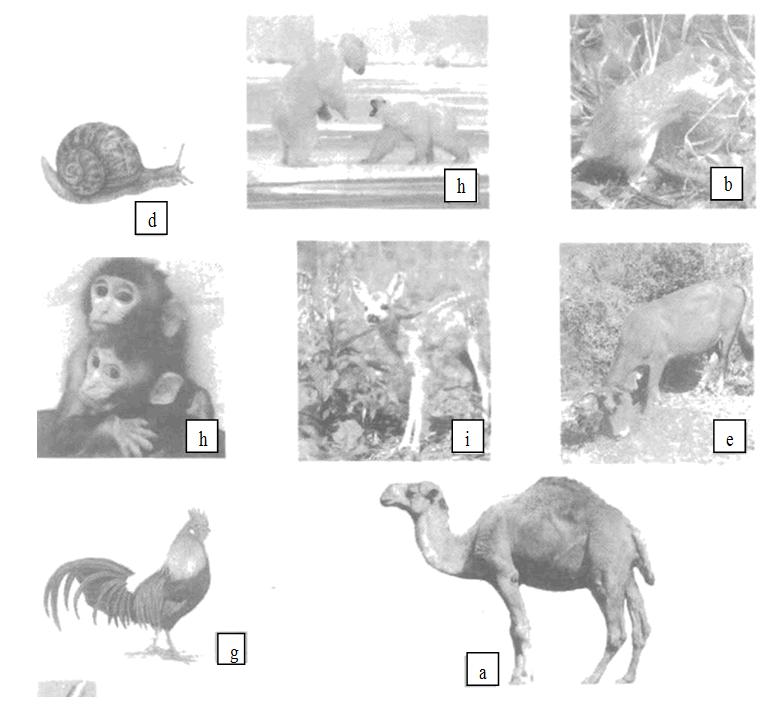 Giải Vở bài tập Tự nhiên và xã hội 2 bài 28