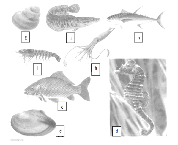 Giải Vở bài tập Tự nhiên và xã hội 2 bài 29