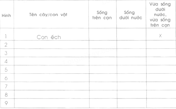 Giải Vở bài tập Tự nhiên và xã hội 2 bài 30