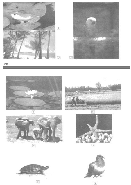 Giải Vở bài tập Tự nhiên và xã hội 2 bài 30