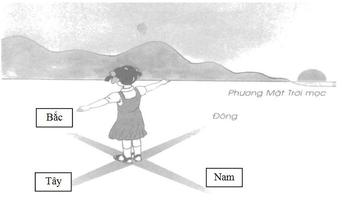 Giải Vở bài tập Tự nhiên và xã hội 2 bài 32