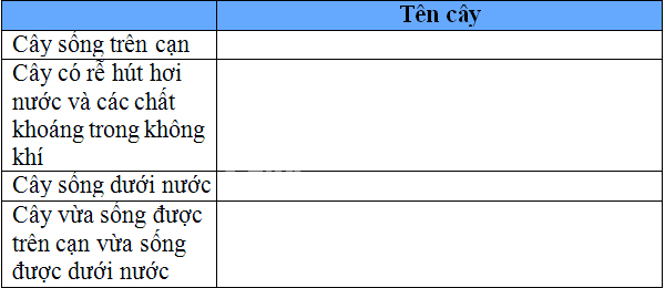 Giải Vở bài tập Tự nhiên và xã hội 2 bài 34, 35