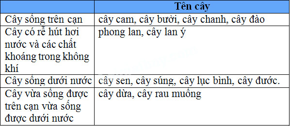 Giải Vở bài tập Tự nhiên và xã hội 2 bài 34, 35