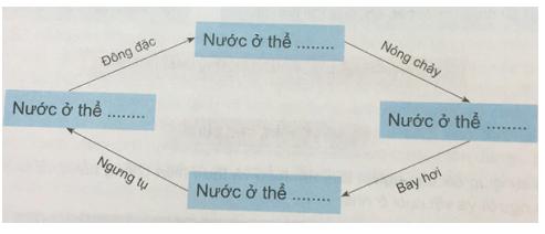 Giải Khoa học lớp 4 VNEN