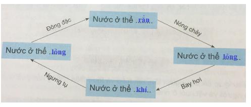 Giải Khoa học lớp 4 VNEN