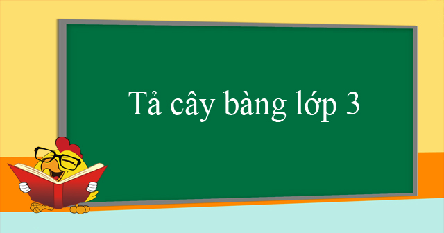 Tả cây bàng lớp 3