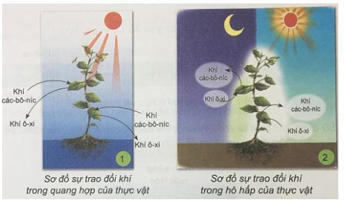 Giải Khoa học lớp 4 VNEN bài 31