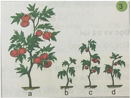 Giải Khoa học lớp 4 VNEN bài 31