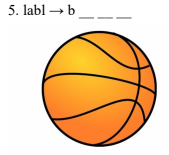 Đề kiểm tra tiếng Anh Unit 13 lớp 3 Where's my book?