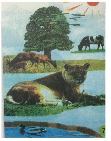 Giải Khoa học lớp 4 VNEN bài 32