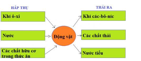 Giải Khoa học lớp 4 VNEN bài 32