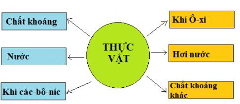 Giải Khoa học lớp 4 VNEN