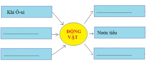 Giải Khoa học lớp 4 VNEN bài: Phiếu kiểm tra 3