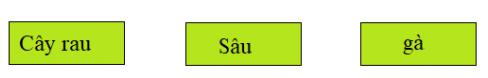 Giải Khoa học lớp 4 VNEN bài: Phiếu kiểm tra 3