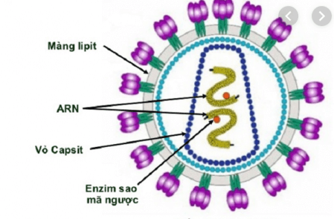 trắc nghiệm sinh học 10