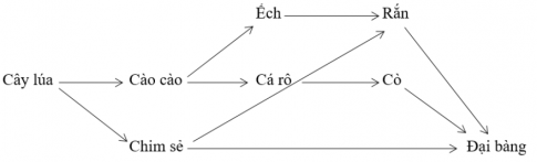 Trắc nghiệm sinh học 12