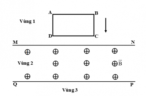 Trắc nghiệm sinh học 11