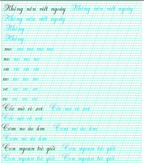 Vở thực hành luyện viết chữ đẹp