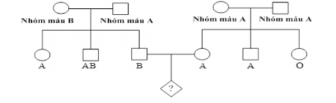 trắc nghiệm sinh học 9
