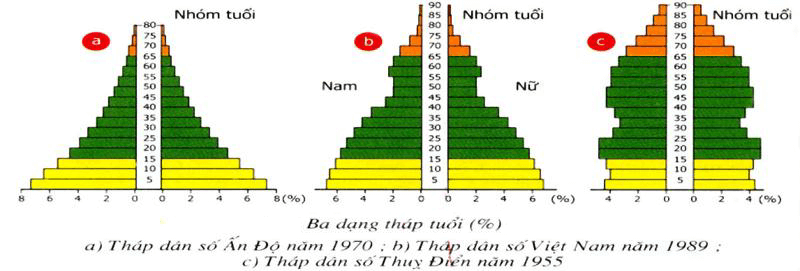trắc nghiệm sinh học