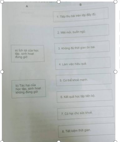 Giải vở bài tập Đạo đức 2 bài tập 1