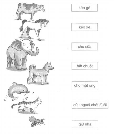 Giải vở bài tập Đạo đức 2 bài 14: Bảo vệ loài vật có ích