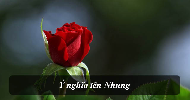 Ý nghĩa tên Nhung - VnDoc.com