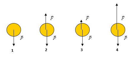 trắc nghiệm vật lý 8