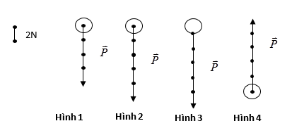 trắc nghiệm vật lý 8