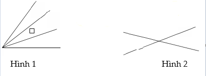 Toán lớp 6 - Chuyên đề về góc ảnh số 6
