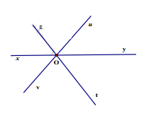Toán lớp 6 - Chuyên đề về góc ảnh số 9