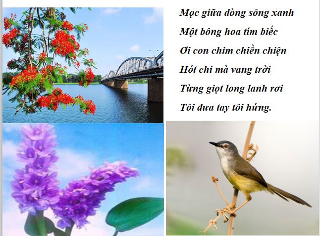 Bài giảng trực tuyến Mùa xuân nho nhỏ