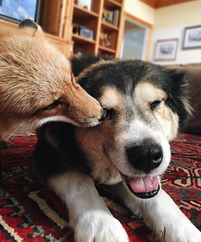 Tài liệu đọc hiểu