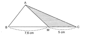 Bài tập nâng cao Toán lớp 5: Diện tích hình tam giác ảnh số 2