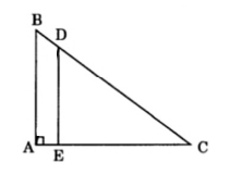 Bài tập nâng cao Toán lớp 5: Diện tích hình tam giác ảnh số 4