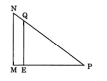 Bài tập nâng cao Toán lớp 5: Diện tích hình tam giác ảnh số 5