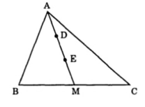 Bài tập nâng cao Toán lớp 5: Diện tích hình tam giác ảnh số 6