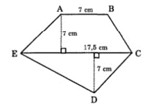 Bài tập nâng cao Toán lớp 5: Luyện tập về diện tích ảnh số 2