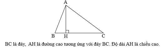 bài tập nâng cao hình tam giác toán lớp 5 ảnh số 15