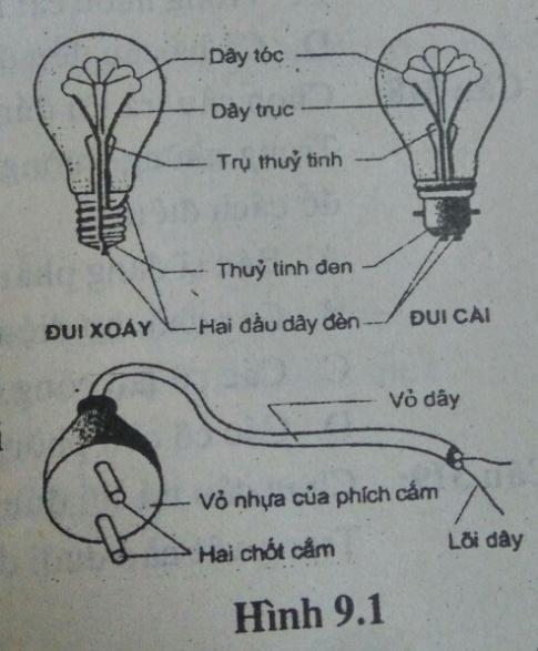 trắc nghiệm vật lý 7