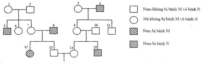 Đáp án đề minh họa 2020 môn Sinh học lần 2