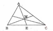bài tập nâng cao toán lớp 6 góc ảnh số 6