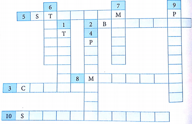 Bài tập Từ vựng tiếng Anh lớp 5 Unit 16 Where's the post office?