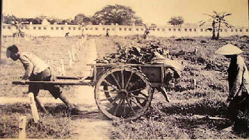 Phân tích giá trị hiện thực và nhân đạo trong tác phẩm Vợ nhặt của nhà văn Kim Lân