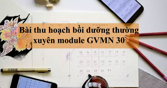 Bài thu hoạch bồi dưỡng thường xuyên module GVMN 30