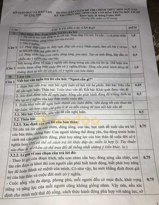 Đề thi chọn học sinh giỏi lớp 9 môn Ngữ văn Sở GD&ĐT Quảng Trị năm học 2019 - 2020