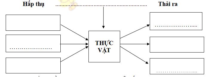Đề thi học kì 2 lớp 4 môn Khoa học